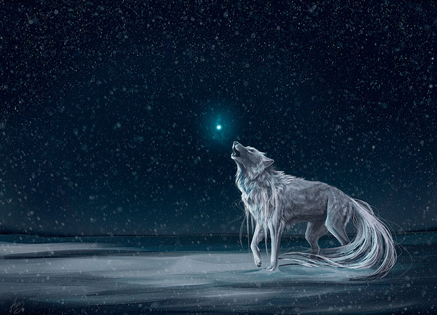 RÃ©sultat de recherche d'images pour "wolf alone art"