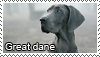 great_dane_stamp_by_tollerka.png