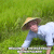Filthy Frank Welcome To The Rice Fields