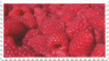 الغرفة الثانية Raspberries_fruit_stamp_by_glaciervapour-dbd13mh