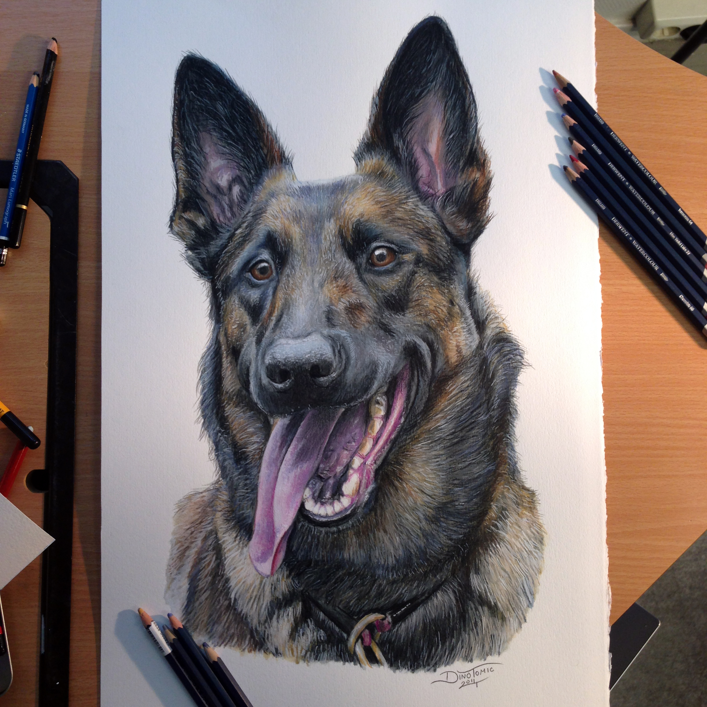 Color Pencil Drawing of a Dog by AtomiccircuS on DeviantArt
