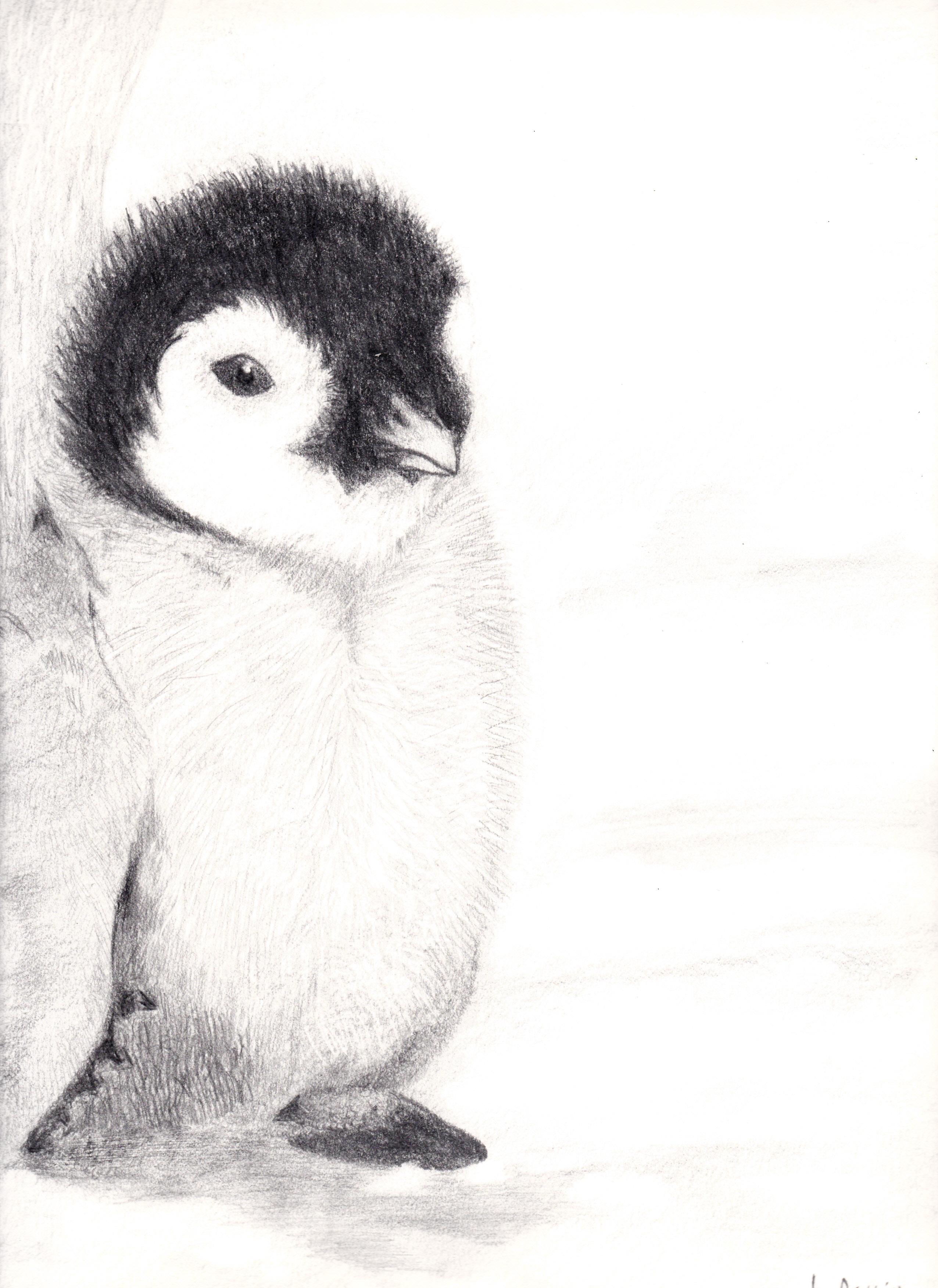 Baby Penguin Drawing by PathofTheAwesomePie on DeviantArt