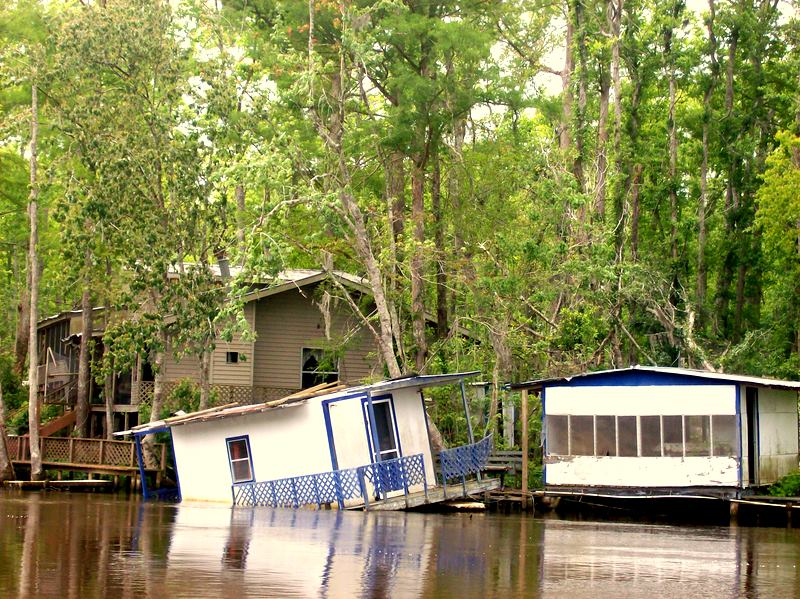 born on the bayou by icecreamuffin on DeviantArt - Where Can I Watch A House On The Bayou