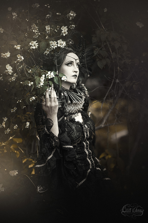 Dark flower .. gothic WGT by S-T-A-R-gazer on DeviantArt