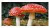 amanita_muscaria_stamp_by_oceanstamps-d8