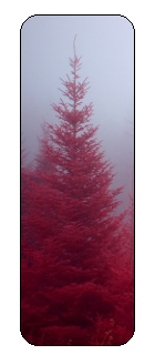 f2u_red_tree_by_salt_prince_vince-db70ru