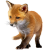 Fox Pup icon