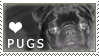 Pug Love Stamp by cloudrat