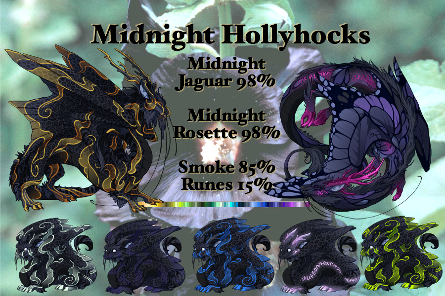 midnight_hollyhocks_by_flighthatchery-dc879ih.jpg