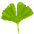 Ginkgo Leaf green by Clu-art
