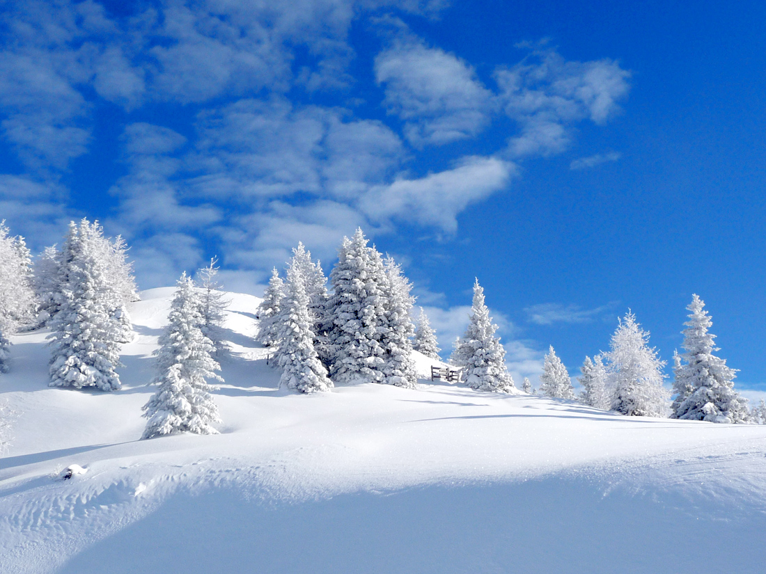 snow paradise by mareika