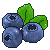 WC:Blueberries by amsa95