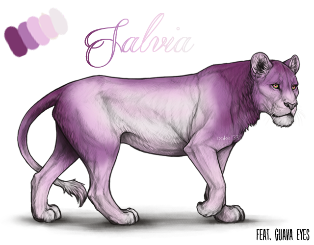 salviablurred_copy_by_usbeon-dbp2sn7.png