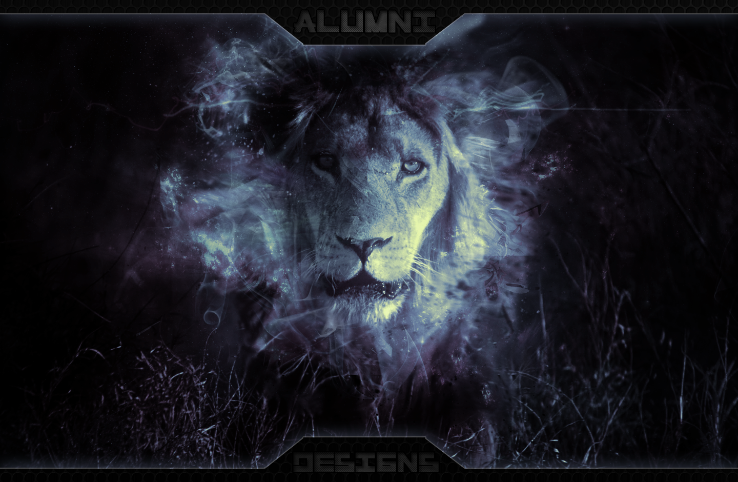 Lion Backgrounds By Alumni Designs On DeviantArt