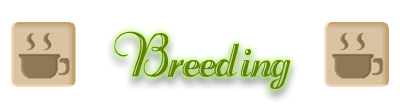 breeding_by_erujayy-dax78w1.png
