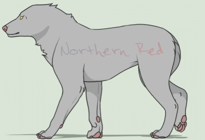 BASE wolf walk cycle by NorthernRed