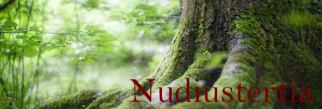 nudi_title_by_alice_will_not_smile-dc7f7b9.png