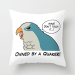 owned by a blue quaker pillow