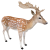 Deer icon.5