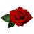 Rose icon.3 by RedqueenAllison