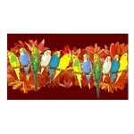 Colorful Budgies Pattern Photographic Print
