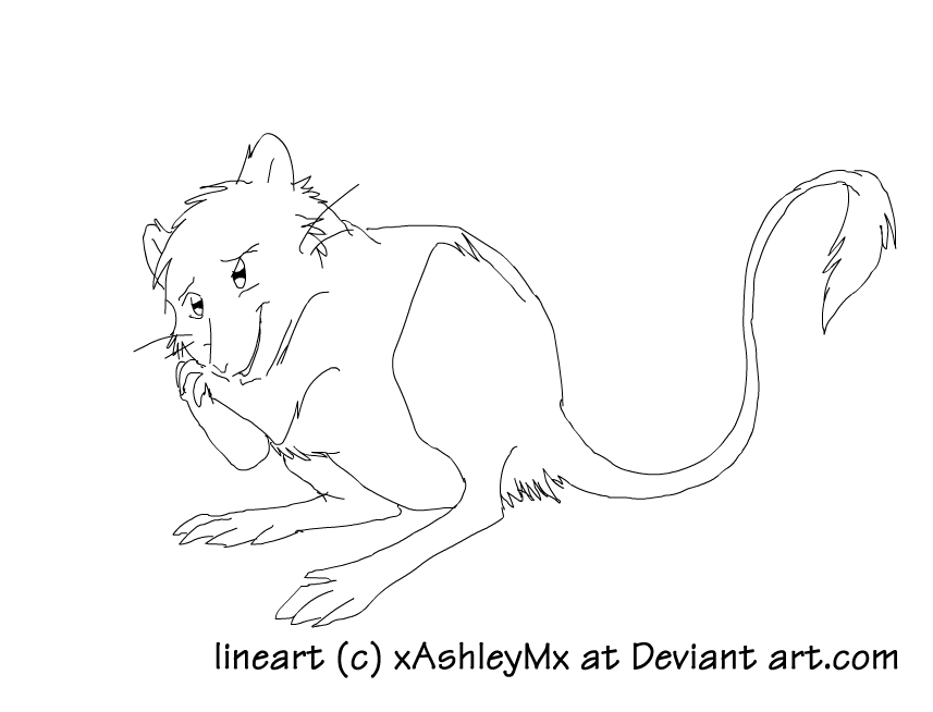 Download Kangaroo rat lineart by TheCynicalHound on DeviantArt