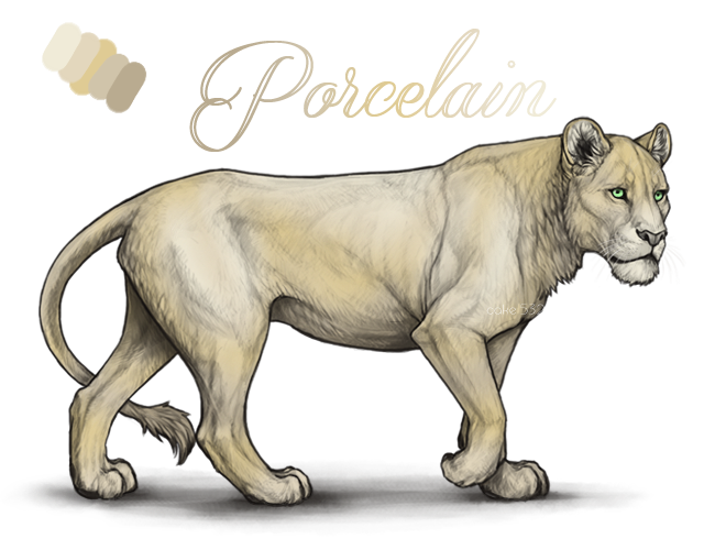 porcelain_copy_by_usbeon-dbo23tr.png
