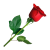 Rose icon.5