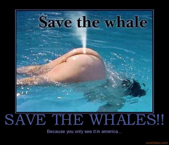 save_the_whales_by_mantis484848.jpg
