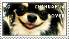 Chihuahua Stamp by Muttie