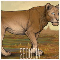 sequoia_by_usbeon-dbumx3f.png