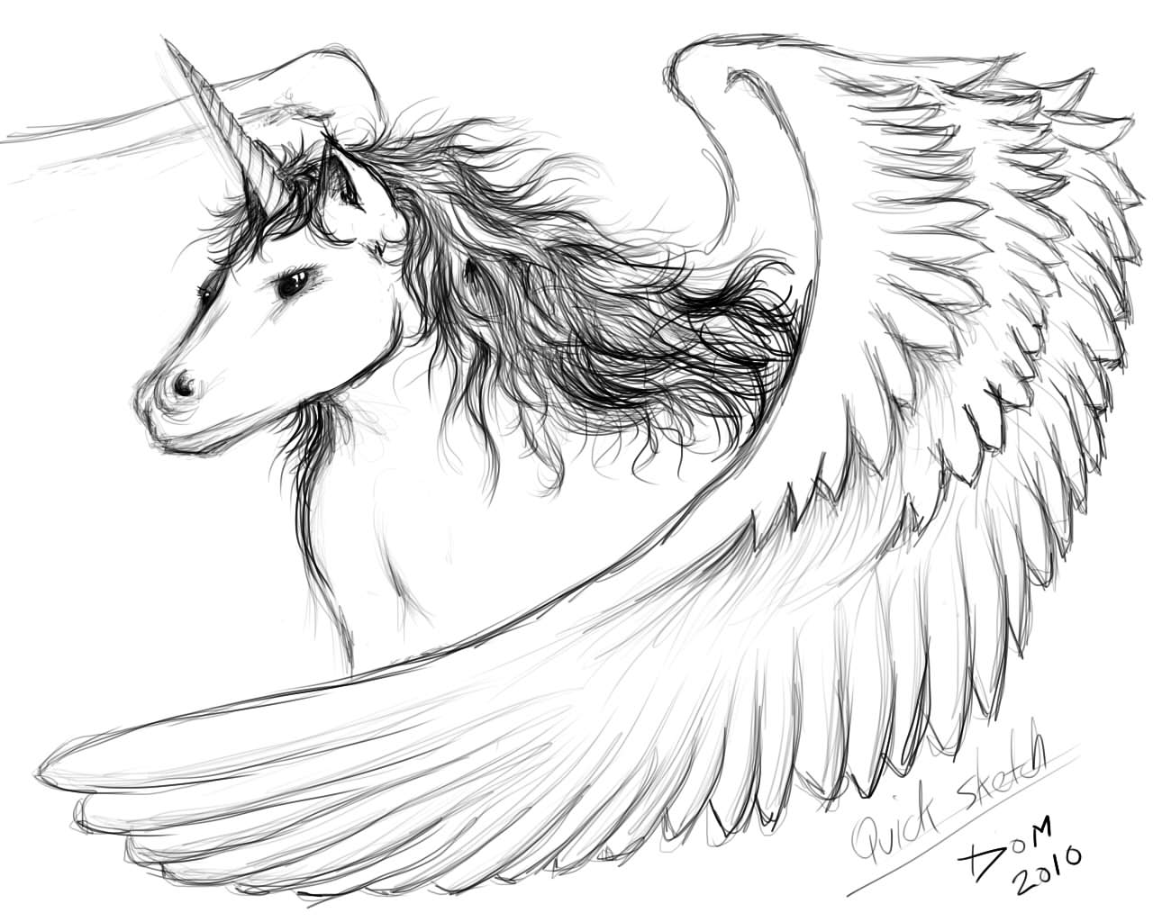 Unicorn sketch by thatdomguy on DeviantArt