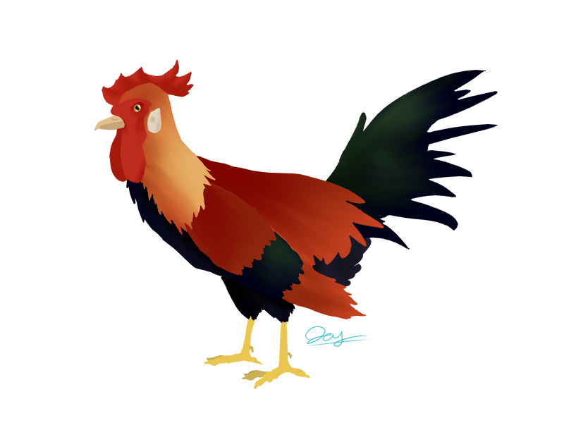 Roosterpaw Avatar