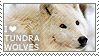 i_love_tundra_wolves_by_wishmasteralchemist-d69zh5a.png