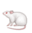 Albino Rat Mouse Emoji
