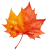 Autumn Leaf icon.2