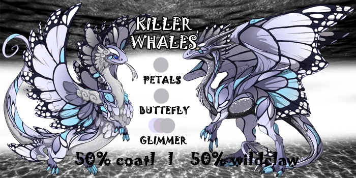 killer_whales_by_runewitch31137-dbhqh82.png