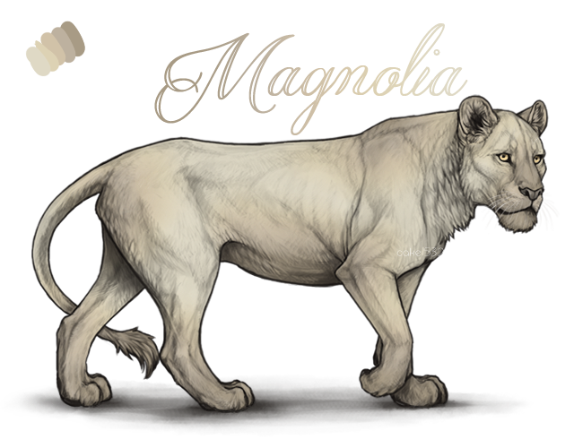 magnoliablurred_copy_by_usbeon-dbo7t41.png