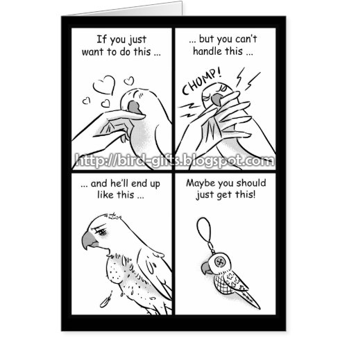Parrots do bite greeting card