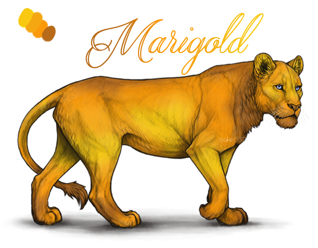 marigold_copy_by_usbeon-dbo23v3.png