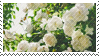 white_flower_stamp_by_catstam-d9thtr0.pn