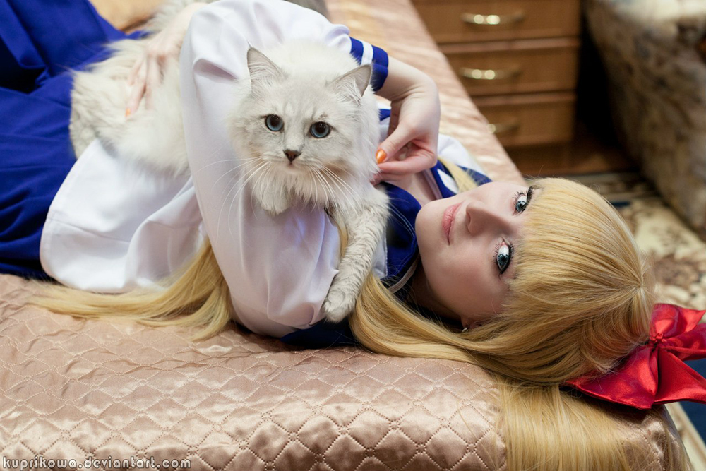 cosplay cat Sailor moon