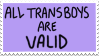 All Transboys Are Valid by Gay-Mage-Of-Space