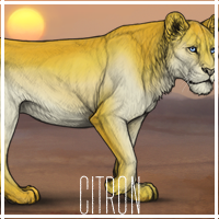 citron_by_usbeon-dbumxbb.png