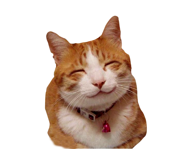 smiley cat png by DIGITALWIDERESOURCE on DeviantArt