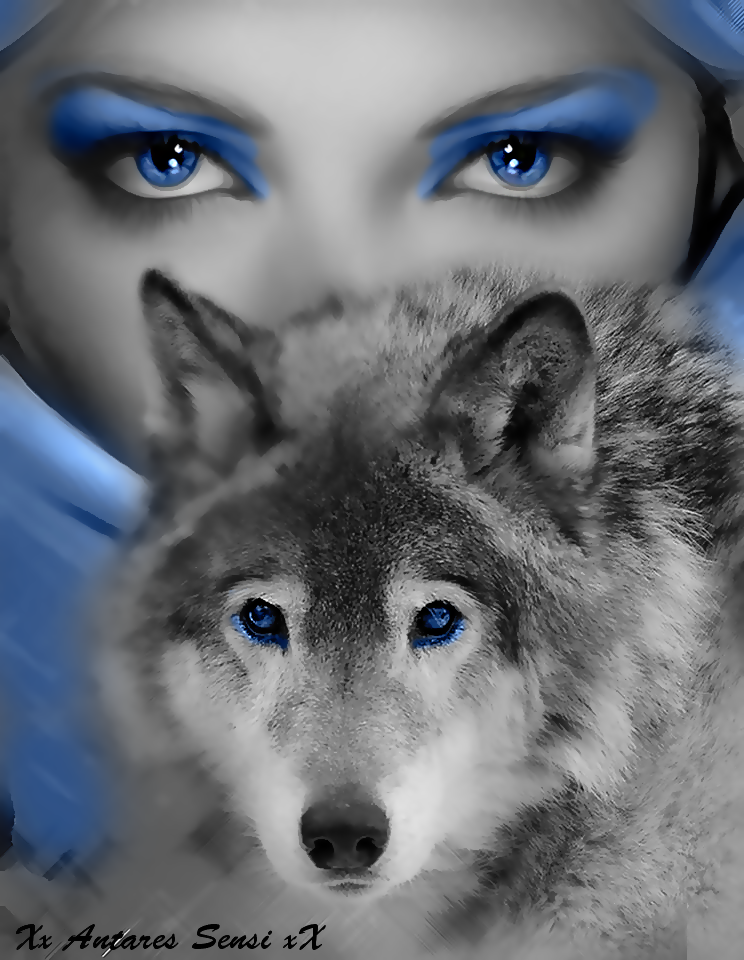 Wolf women blue persia by Ponthieu14 on DeviantArt