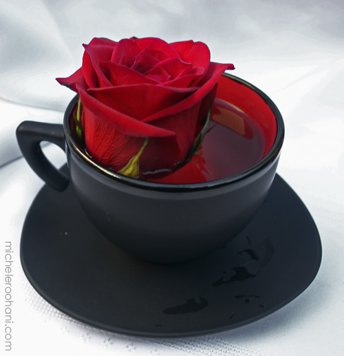 red_rose_in_black_tea_cup_michele_roohan