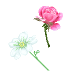 pixel_flower_studies_by_rainedragon.png