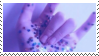 ʇonb ǝɔɐld pɐq ɐ uı ʇsnɾ ǝɹǝʍ pɐq ʇou ǝɹǝʍ F2u___purple_aesthetic_stamp__2_by_pastel__galaxies-das24hb