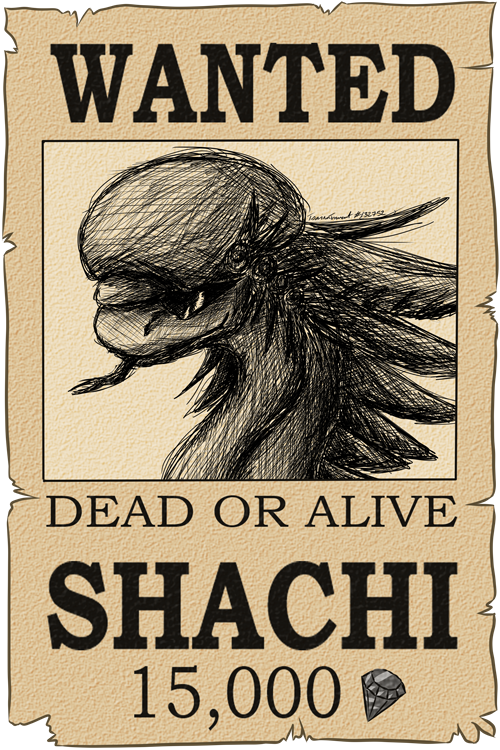 shachi_wanted_bio_by_tsarinatorment-dceh0tu.png